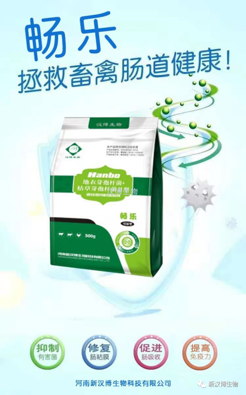 飼料禁抗后，斷奶仔豬腹瀉問題將更為嚴重，養豬人如何應對